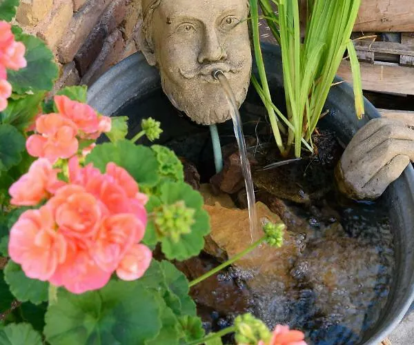 Teigenheim * Rüdesheim am Rhein